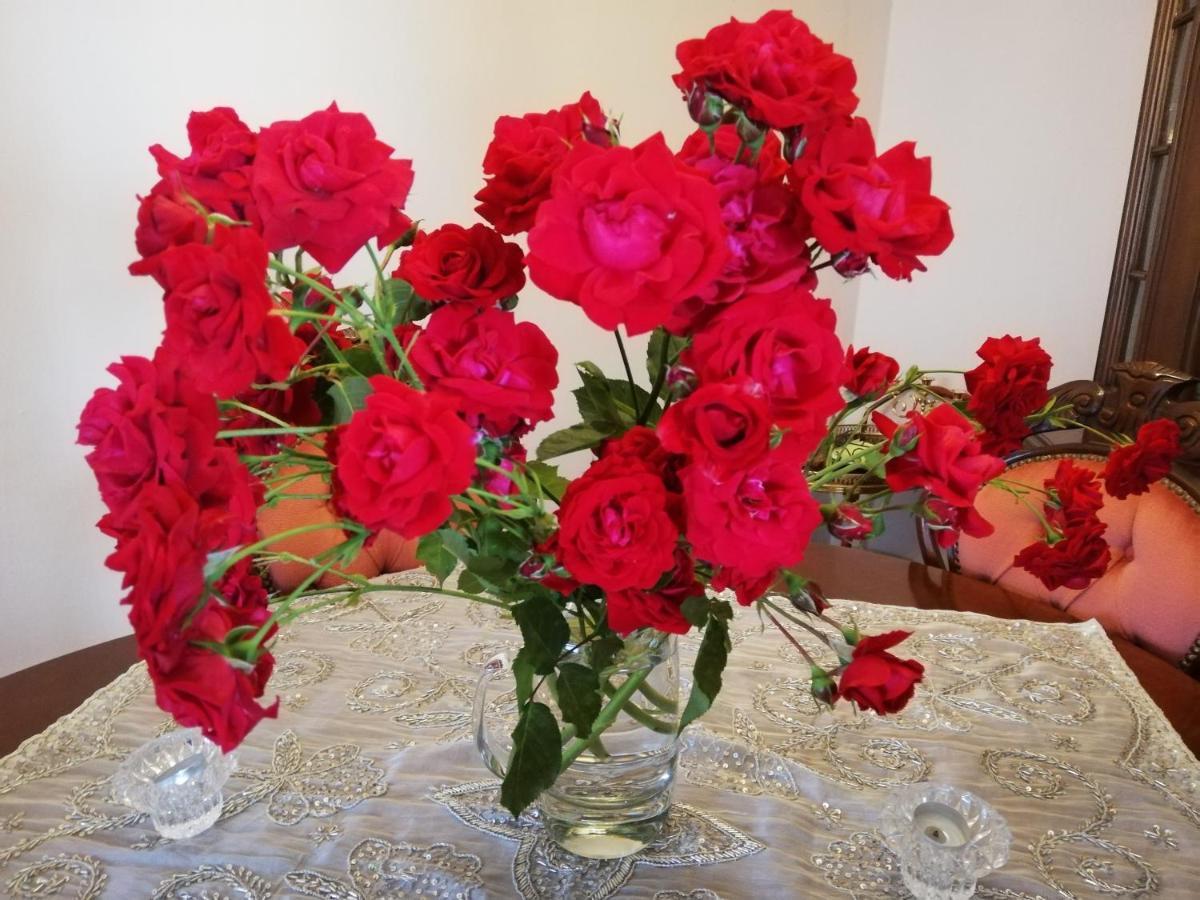 Rosen Und Rosse Apartman Zweibrücken Kültér fotó