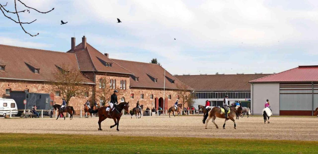 Rosen Und Rosse Apartman Zweibrücken Kültér fotó